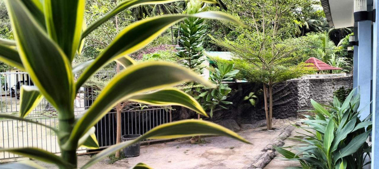 Sakila Homestay Kuta  Eksteriør bilde