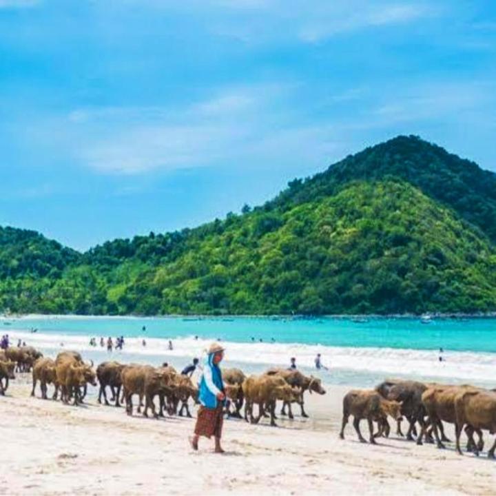 Sakila Homestay Kuta  Eksteriør bilde