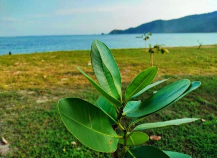 Sakila Homestay Kuta  Eksteriør bilde
